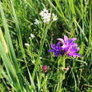 IMG_3421.JPG