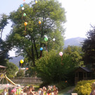 2015-07-03 09_51_35.jpg