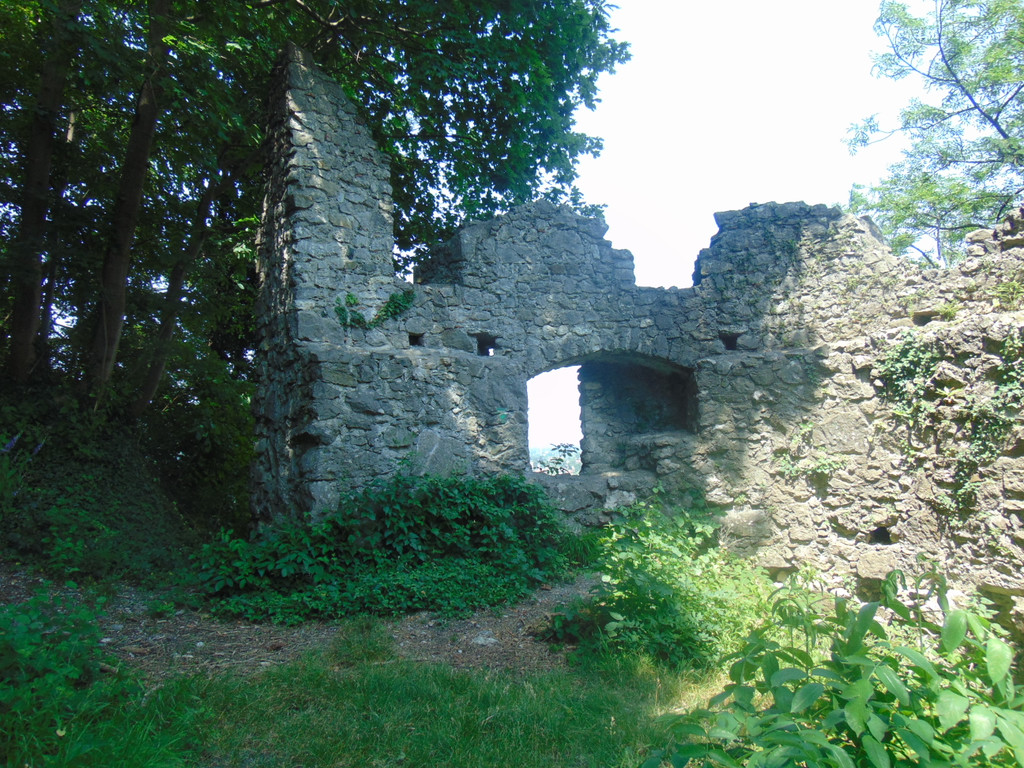 neuburg23.JPG