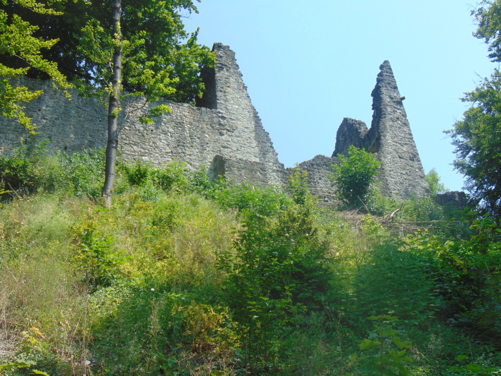 neuburg26.JPG