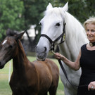 Auf Sommerfrische: Lipizzaner-Fohlen urlauben wieder im Wiener Burggarten