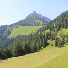 IMG_3617.JPG