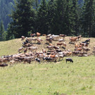 IMG_3673.JPG