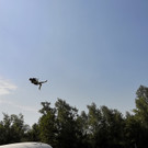 14074868.jpg