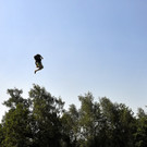 14074864.jpg