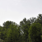 14074856.jpg