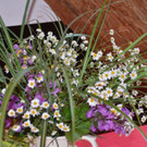 DSC_5650.jpg