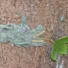 DSC_5812.jpg