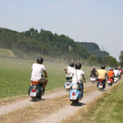 1200.JPG