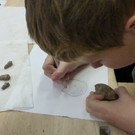 Fossilienfunde und erste Bearbeitungen