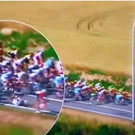 tdf.JPG