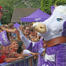 Milka-Kuh-und-Fans.jpg