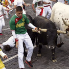 IBD0160-20150707.jpg