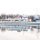 MS Österreich