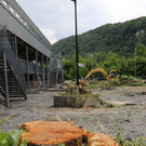 IMG_4377.JPG