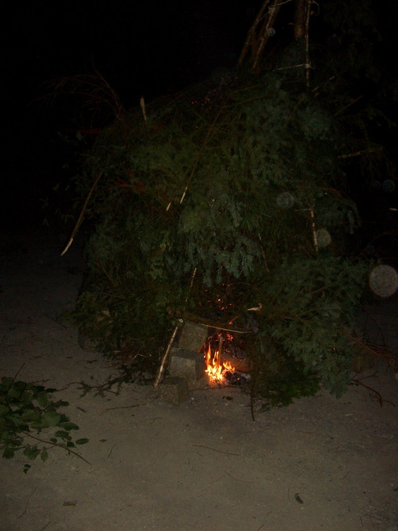 33-neu Middsommer in der Bodenseeschule 26_06_2015 090.JPG