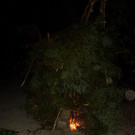 33-neu Middsommer in der Bodenseeschule 26_06_2015 090.JPG
