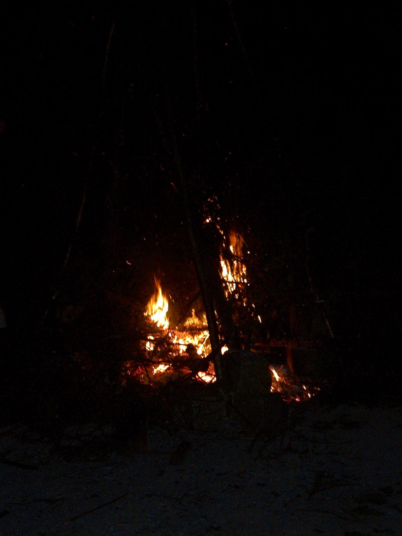 35-neu Middsommer in der Bodenseeschule 26_06_2015 095.JPG