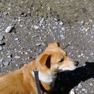 Feli ...... noch mehr Fotos von der hübschen Dame
