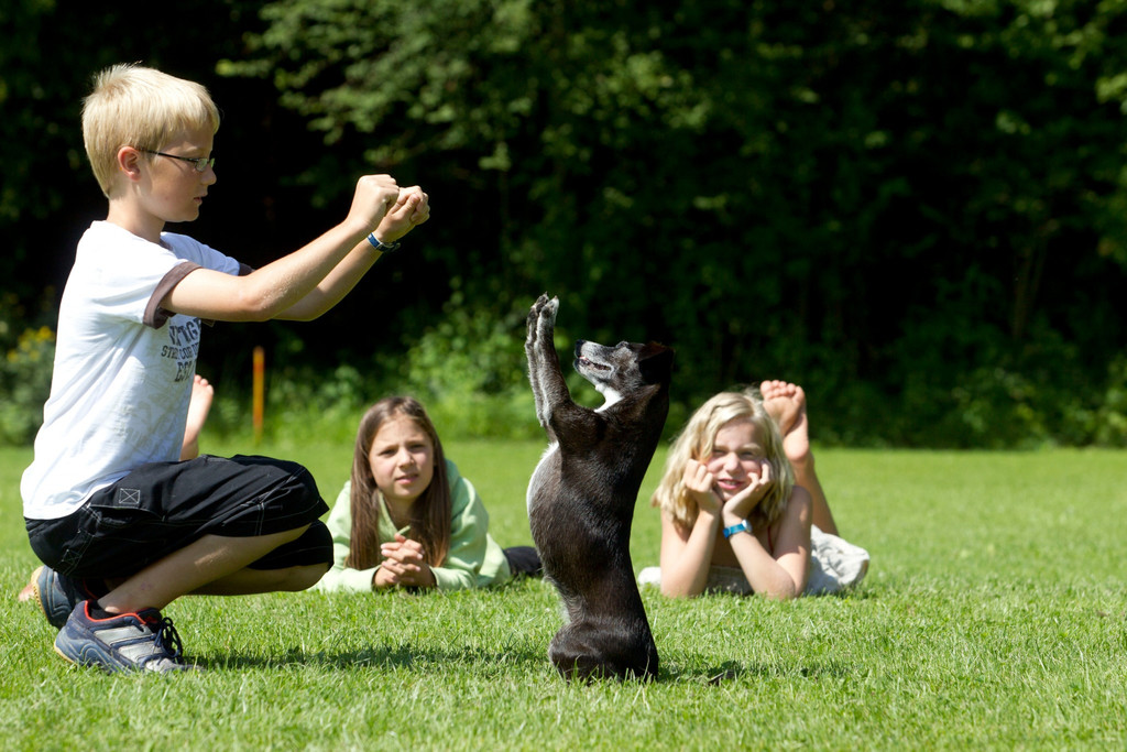 Kindertag Kimba.jpg