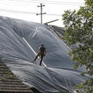 ABD0080-20150709.jpg