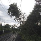 ABD0073-20150708.jpg