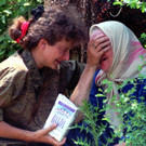 srebrenica_dapd3.jpg