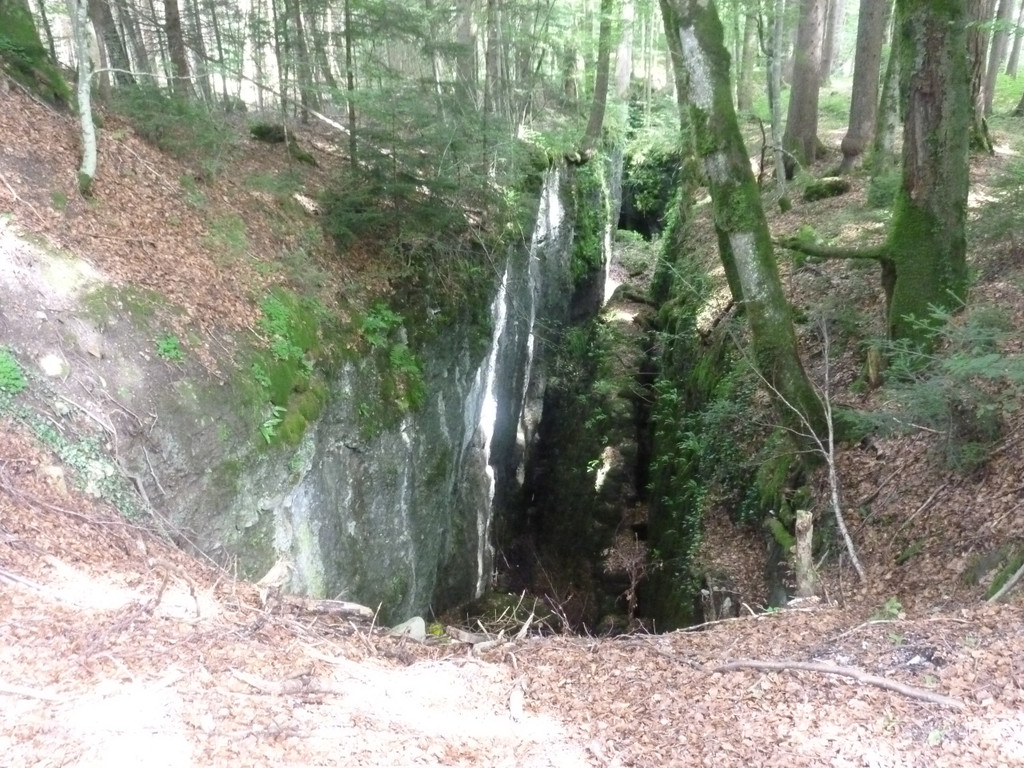 P1030220.jpg