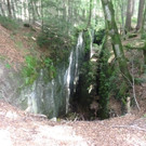 P1030220.jpg