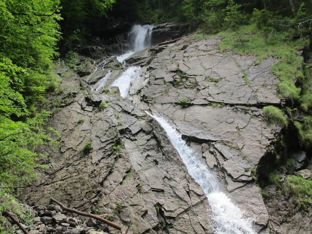 IMG_1742.JPG