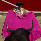 IBD0047-20150710.jpg