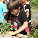 DSC07947.JPG