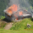 100NIKON_ DSCN2427.jpg