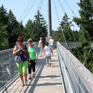 IMG_8971A.jpg