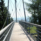 IMG_8984A.jpg