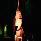 IMG_4808.JPG