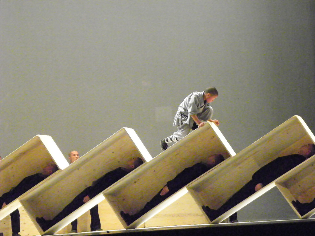 101_7528_jpg-1275003399