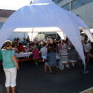 P1050551.jpg