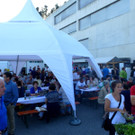 P1050572.jpg