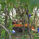 ABD0169-20150709.jpg