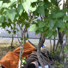 ABD0170-20150709.jpg