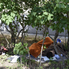 ABD0215-20150709.jpg