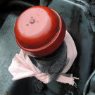 DSCN9135.JPG