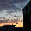 DSC_0087 _2_ _Copy_.JPG