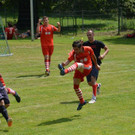 DSC_6337.jpg
