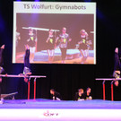 AUT-Gymnaestrada-Gruppen-2015_26_TS-Wolfurt_Vbg_02.jpg