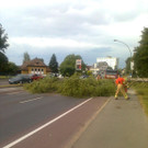 Sturmschaden Hatlerdorf 170715 008.jpg