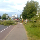 Sturmschaden Hatlerdorf 170715 009.jpg