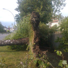 Sturmschaden Hatlerdorf 170715 011.jpg