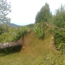 Sturmschaden Hatlerdorf 170715 013.jpg